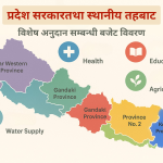 विशेष अनुदान बजेटमा समेटिएका प्रदेश र स्थानीय तहका योजना
