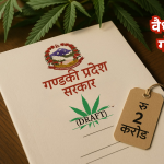गण्डकी प्रदेशको गाँजा खेती कानुनी प्रक्रिया र इजाजत प्रणाली